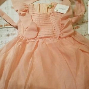 Pink ruffle sleeve dress NWT